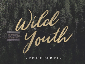 wild-youth-beautiful-hand-drawn-brush-script-font