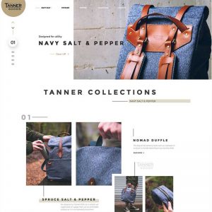 E-commerce-Tanner-Collections-Free-PSD-Template