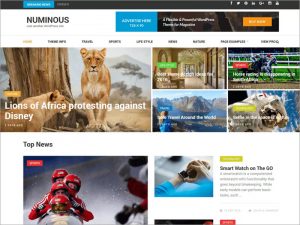 Numinous-Clean-and-Elegant-Magazine-Free-WordPress-Theme