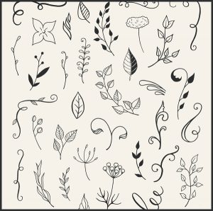 Free-110-Hand-Drawn-Floral-Elements-Ai-&-Psd-1