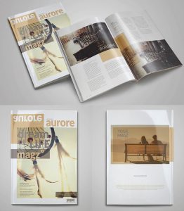 Free-Multipurpose-Indesign-Magazine-Template