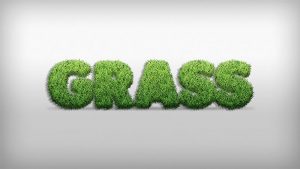 How-to-Create-a-Grass-Action-Text-Effect-in-Adobe-Photoshop