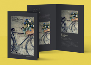 Free-PSD-Bi-Fold-A4-Brochure-MockUp-300