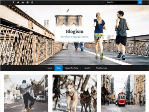 Blogism-User-Friendly-Free-Blog-Magazine-Free-WordPress-Theme