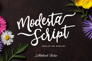 18-Modesta-Script-Font-2018-0