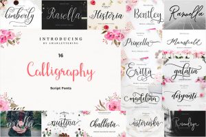 16-Beautiful-Calligraphy-Script-Fonts-For-Creative-Designers-600