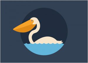How-to-Create-a-Quick-Pelican-in-Adobe-Illustrator