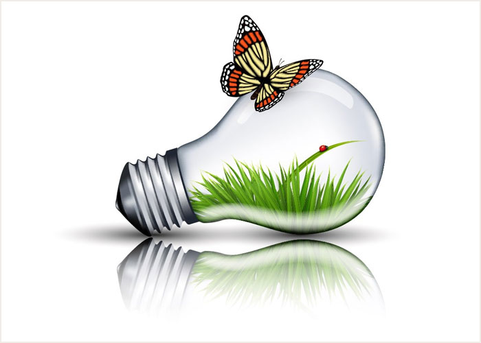 How-to-Create-an-Eco-Bulb-and-Butterfly-Illustration-in-Adobe-Illustrator