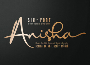 Gorgeous-Anisha-Modern-Sans-And-A-Stylish-Calligraphy-Font-300.jpg