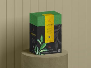 Free-Brand-Product-Packaging-Box-Mockup-1