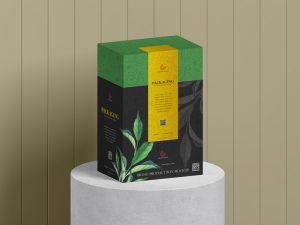 Free-Brand-Product-Packaging-Box-Mockup
