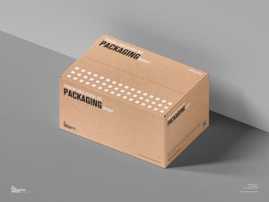 Free-Premium-Cargo-Delivery-Box-Packaging-Mockup