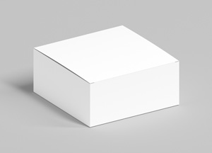 Free-Modern-White-Box-Mockup-300