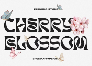 Elegant-Broman-Serif-Font-For-Creative-Designers-300