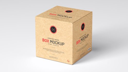 Free-Cargo-Craft-Square-Box-Mockup-300