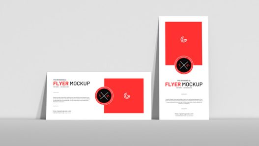 Free-PSD-Branding-Dl-Flyer-Mockup-300