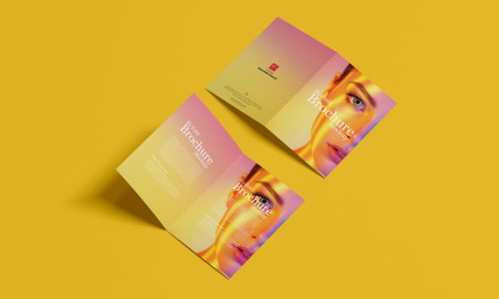 Free-A4-Bi-Fold-Brochure-Mockup-300